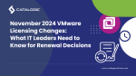 Critical Insights into November 2024 VMware Licensing Changes: What IT Leaders Must Know